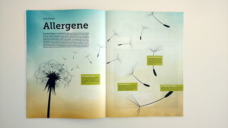 Klinikum Wels-Grieskirchen, Magazin