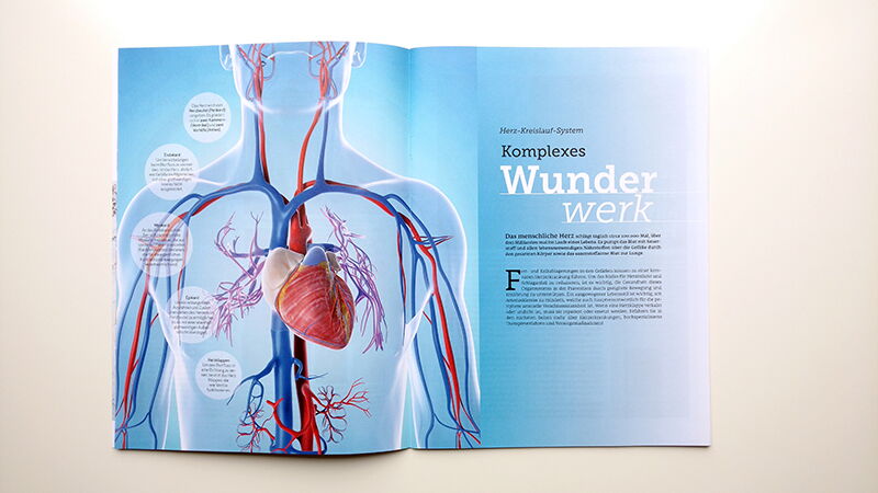 Klinikum Wels-Grieskirchen, Magazin